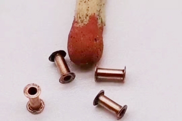 精密冷挤压 精密冷挤压